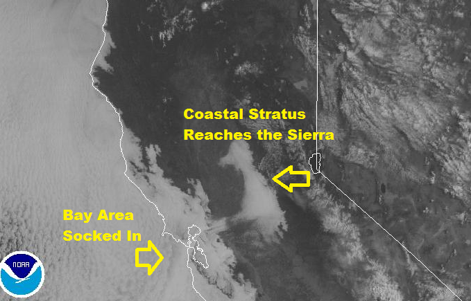 Who Knew?  Late Spring Rain Coming Next Week!